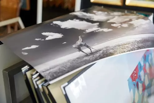 Impressão em papel fotográfico e em canvas - Frame Express